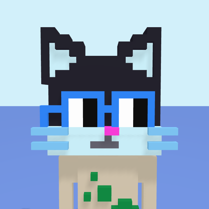 Cat, a voxel Noun with a cat head and square noggles