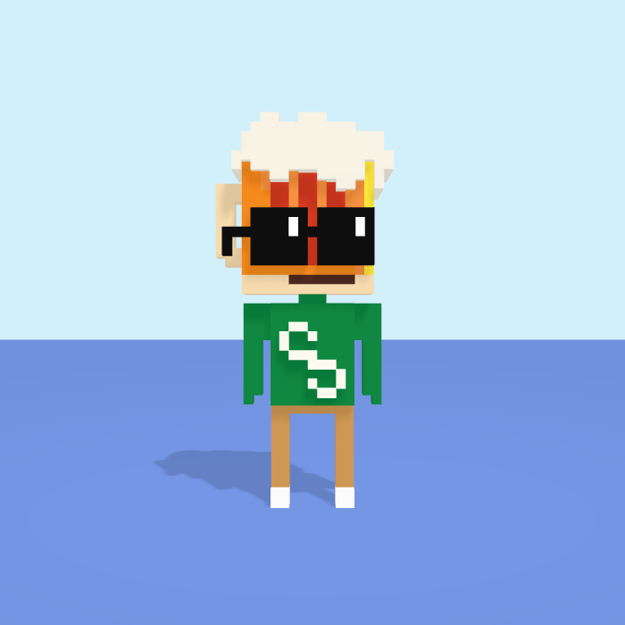 Beer voxel model, front view