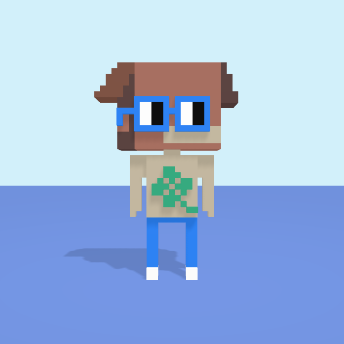 Box voxel model, front view